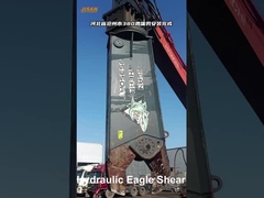 حفرة ضغط 20Mpa قطع الصلب 800mm الطول للعمل الثقيل